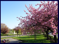 Memorial Gardens